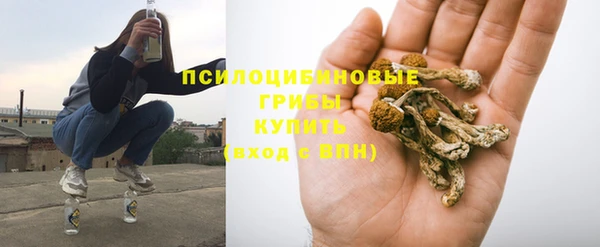 дурь Алзамай