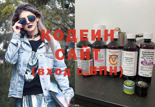 дурь Алзамай